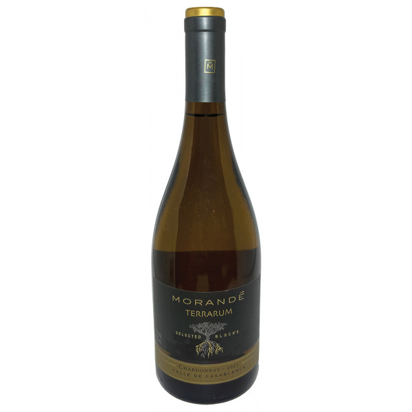 Morandé Terrarum Select Blocks Chardonnay 2017