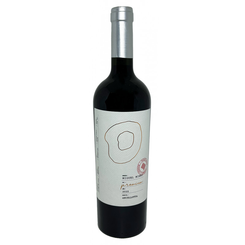 Miguel Minni Cabernet  Sauvignon 2021 