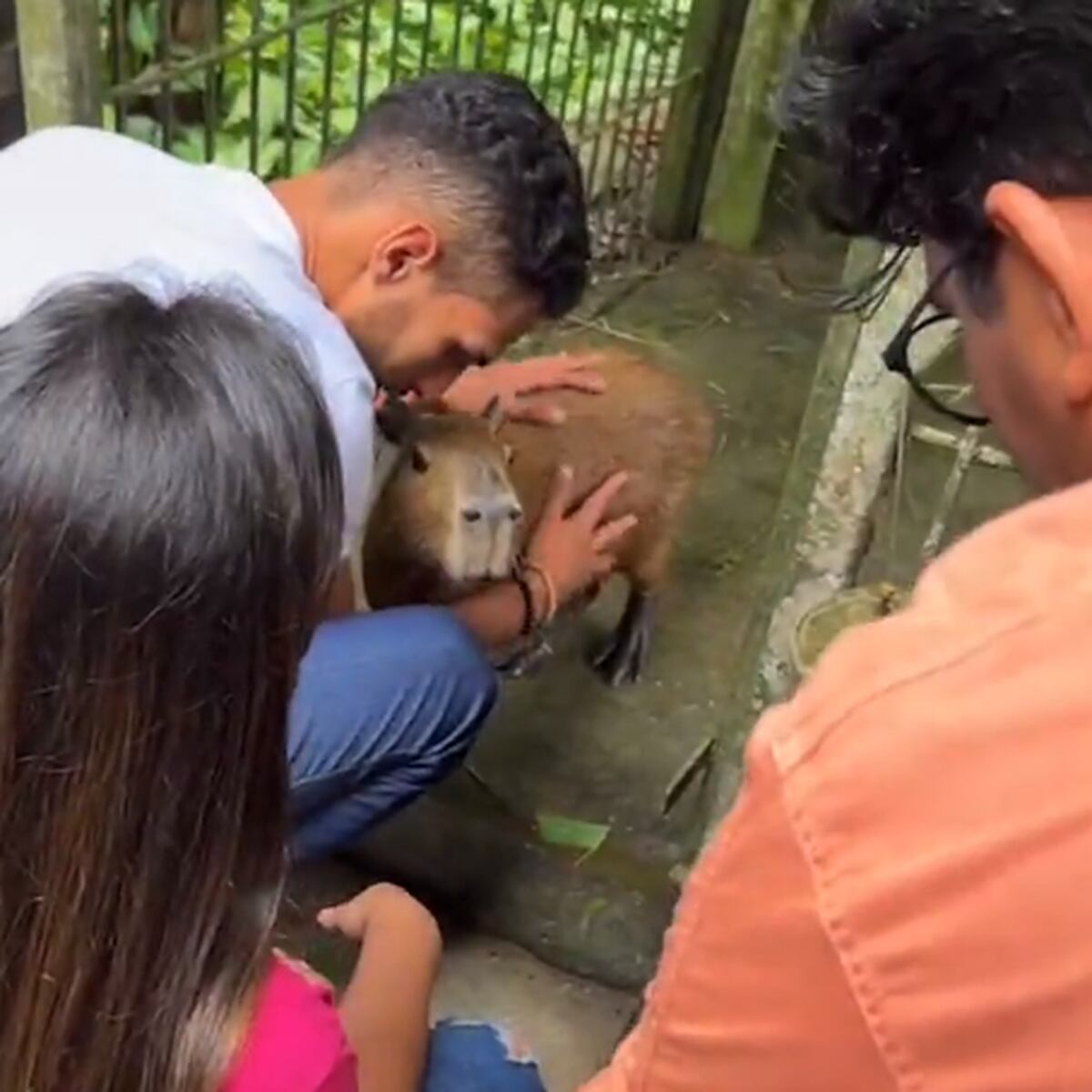 Capivara Filó: entenda a polêmica envolvendo o animal criado por  influenciador - BBC News Brasil