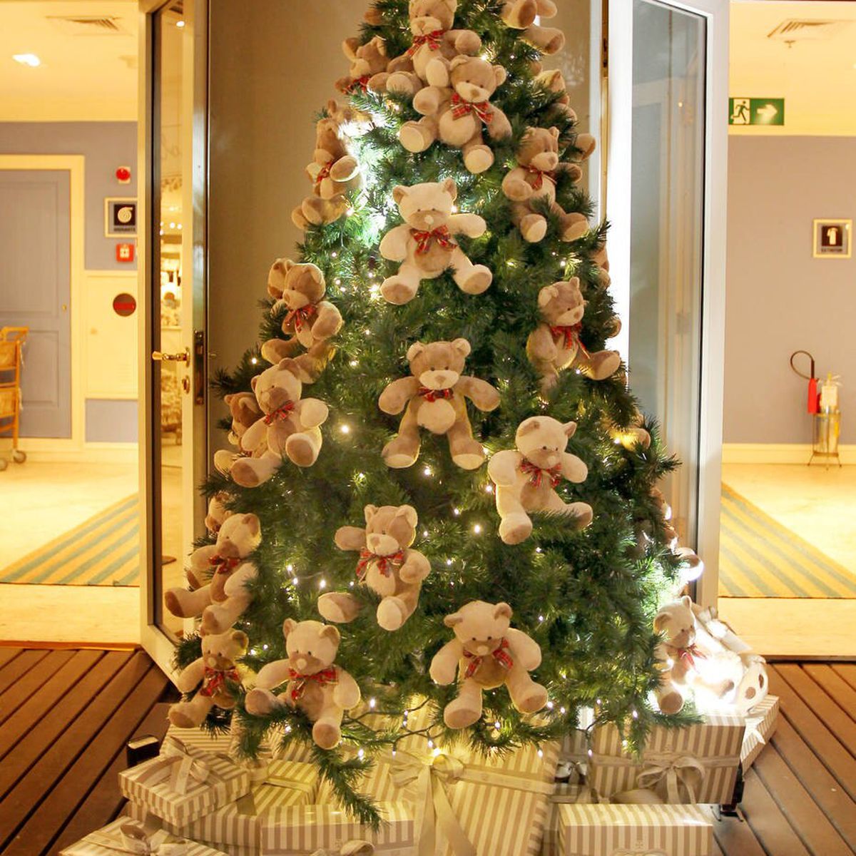 Arvore de Natal - 5 Tipos de Arvores de Natal - Decoração Natalina