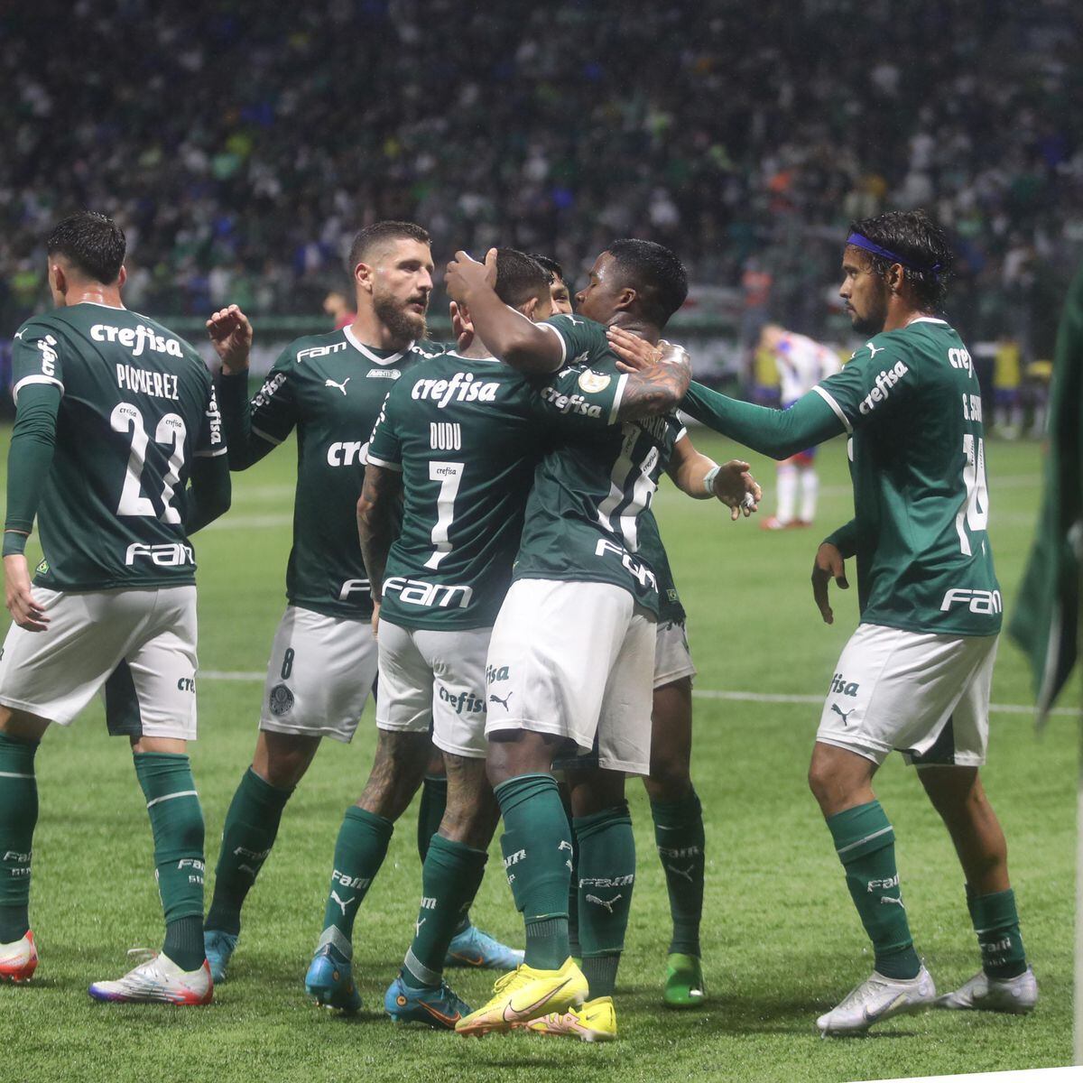 Palmeiras hendecacampeão: relembre todos os jogos e gols da campanha do  título brasileiro