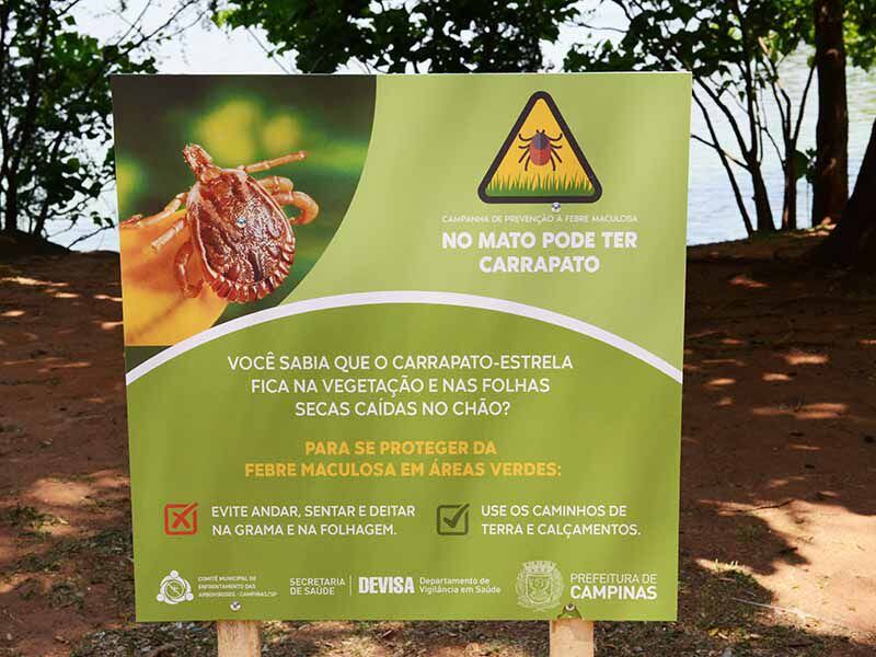 Conheça os tipos de carrapato e como removê-los com segurança - Canal Agro  Estadão