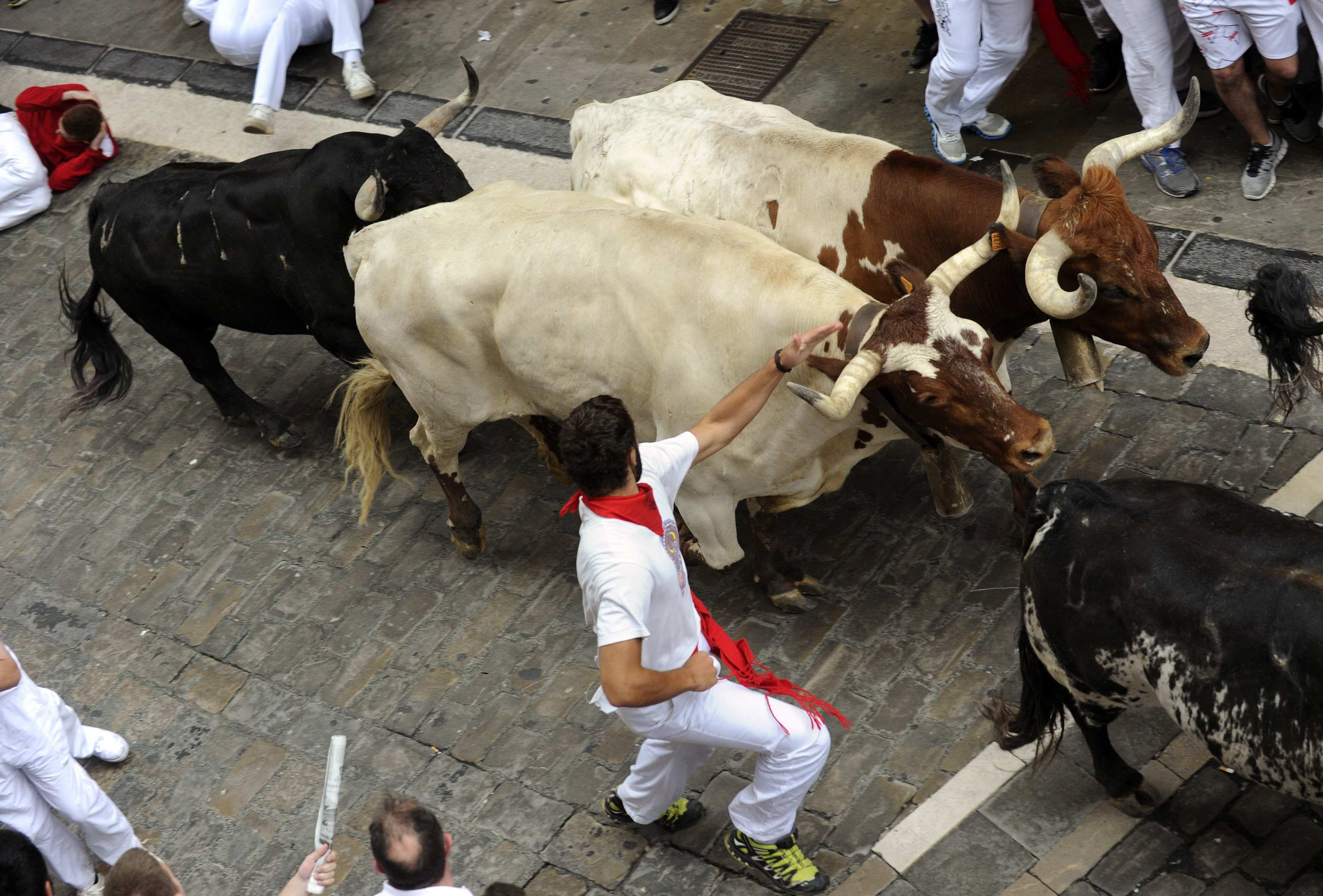 Seis pessoas ficam feridas na primeira corrida de touros do festival de San  Fermin, na Espanha