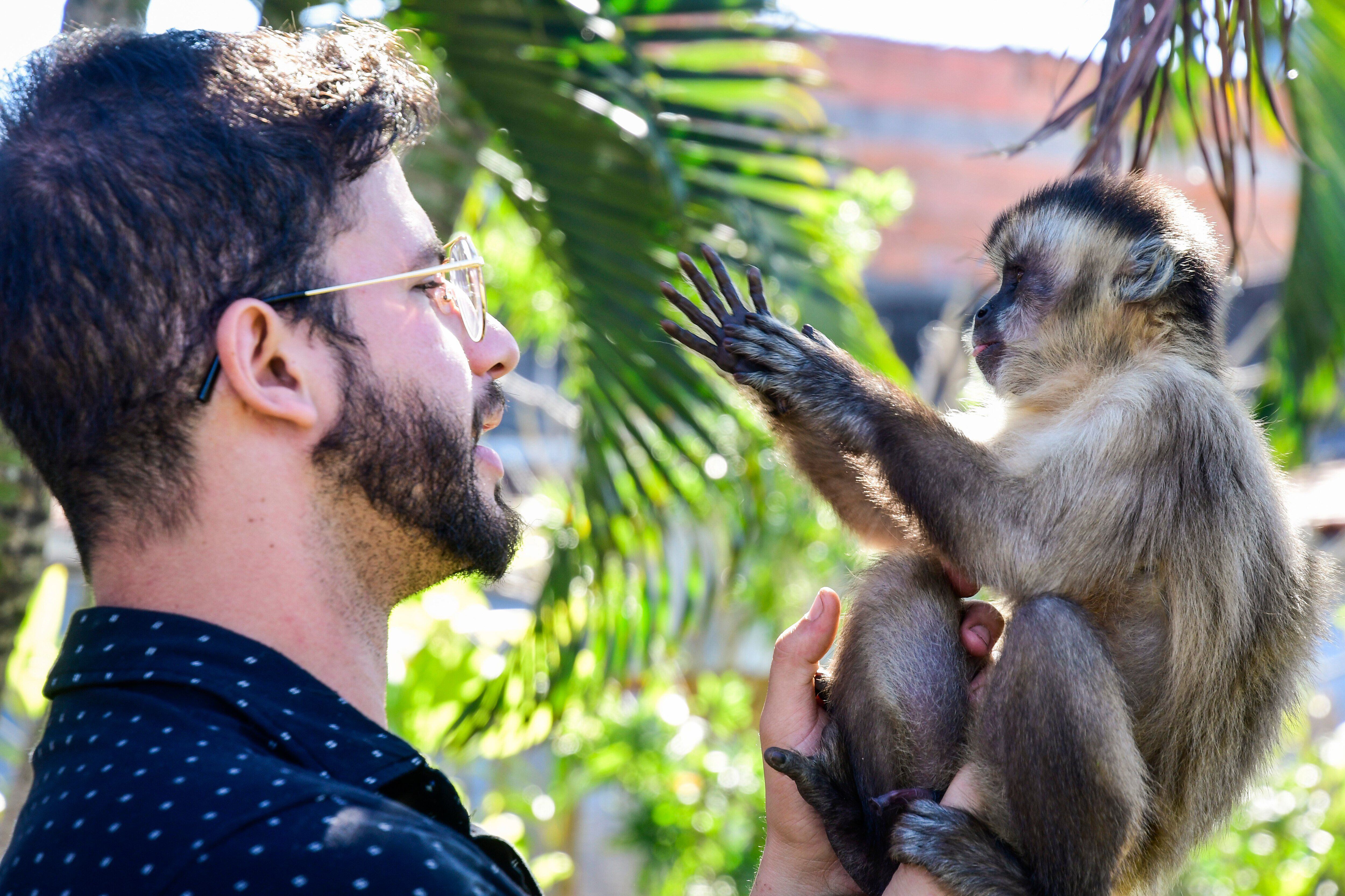 O lado nada engraçado dos memes de macacos com roupinha