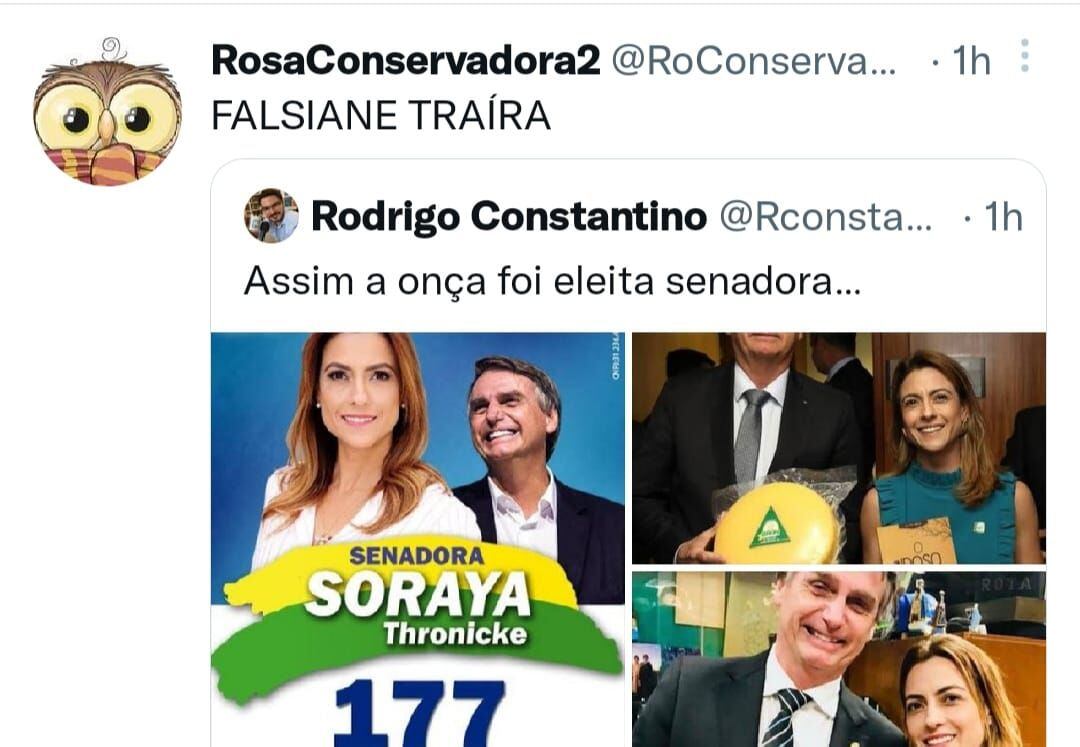 A trairagem de Bolsonaro com seus brothers, os roqueiros reaças -  Socialista Morena