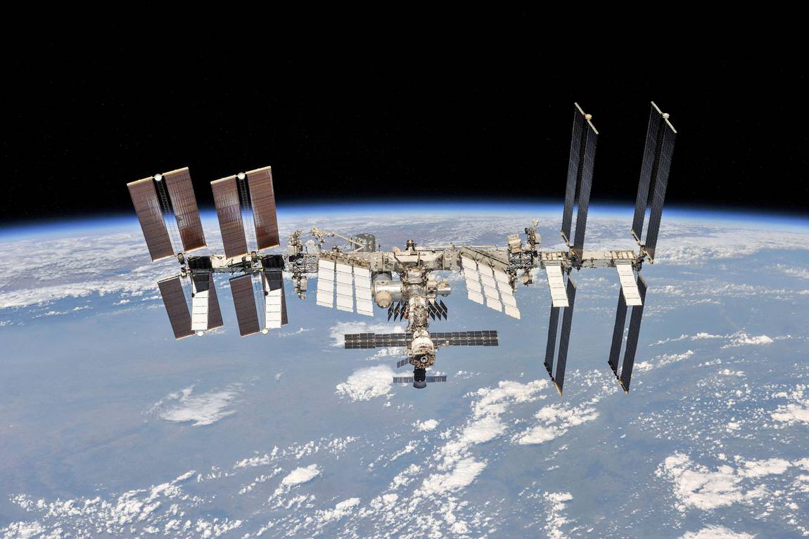 Astronauts’ Mice on the Space Station Help Explain Relationship Between Germs and Gravity – Science