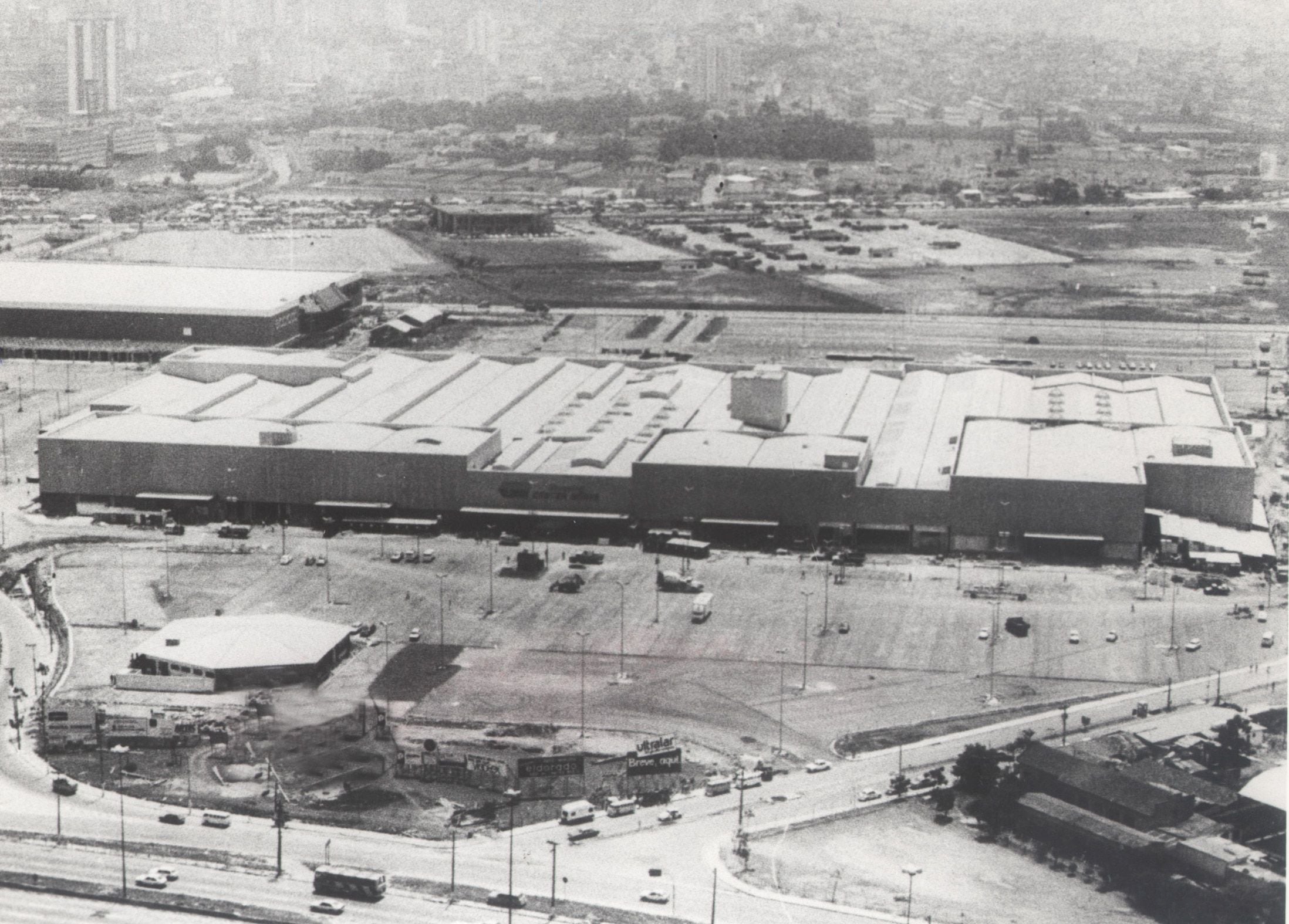 Jacaré no Rio Tietê mobilizou São Paulo em 1990 - Notícias - Estadão