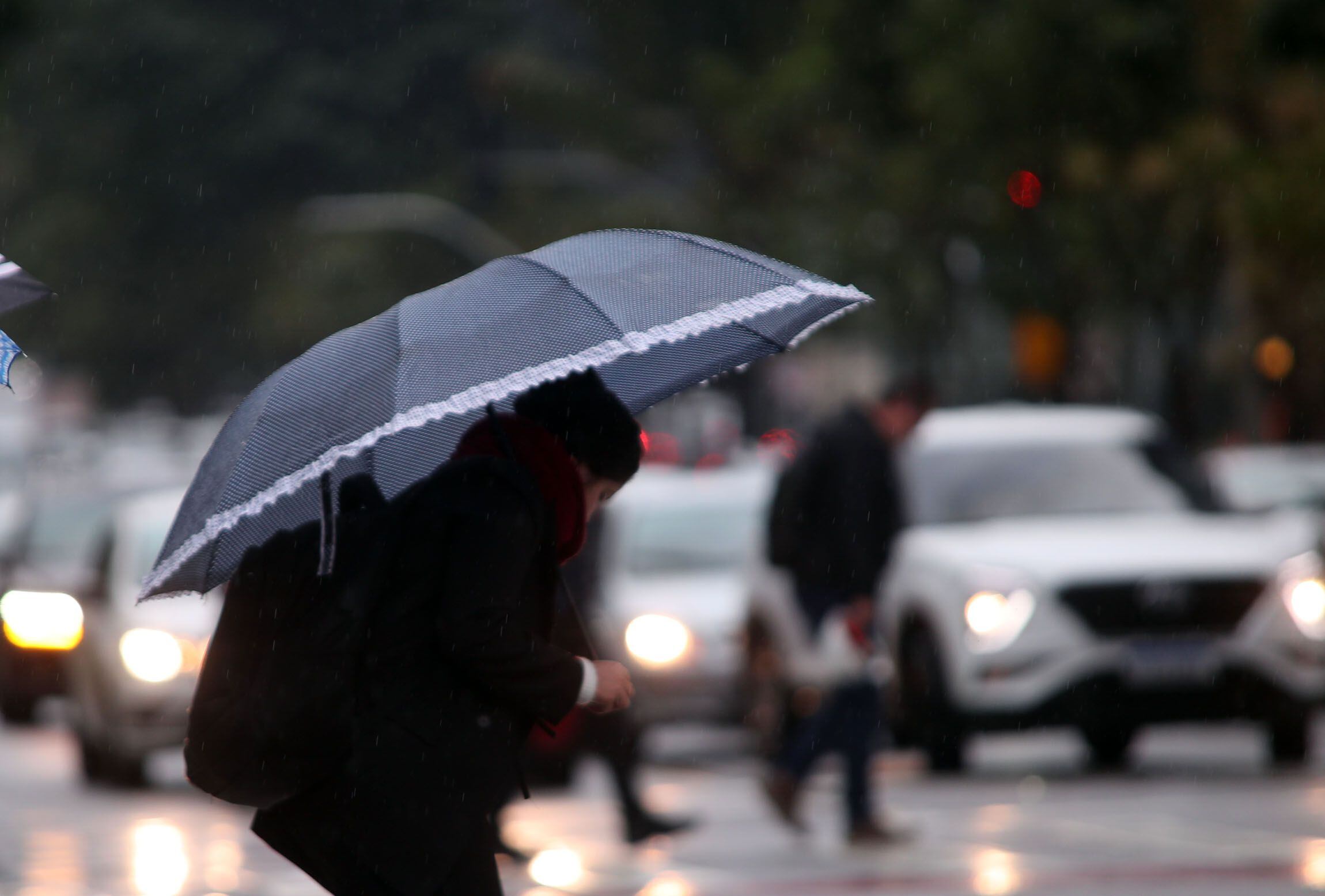 Fim de semana com temperaturas amenas, chuva persistente e ventos em áreas  do estado de São Paulo - Clima ao Vivo