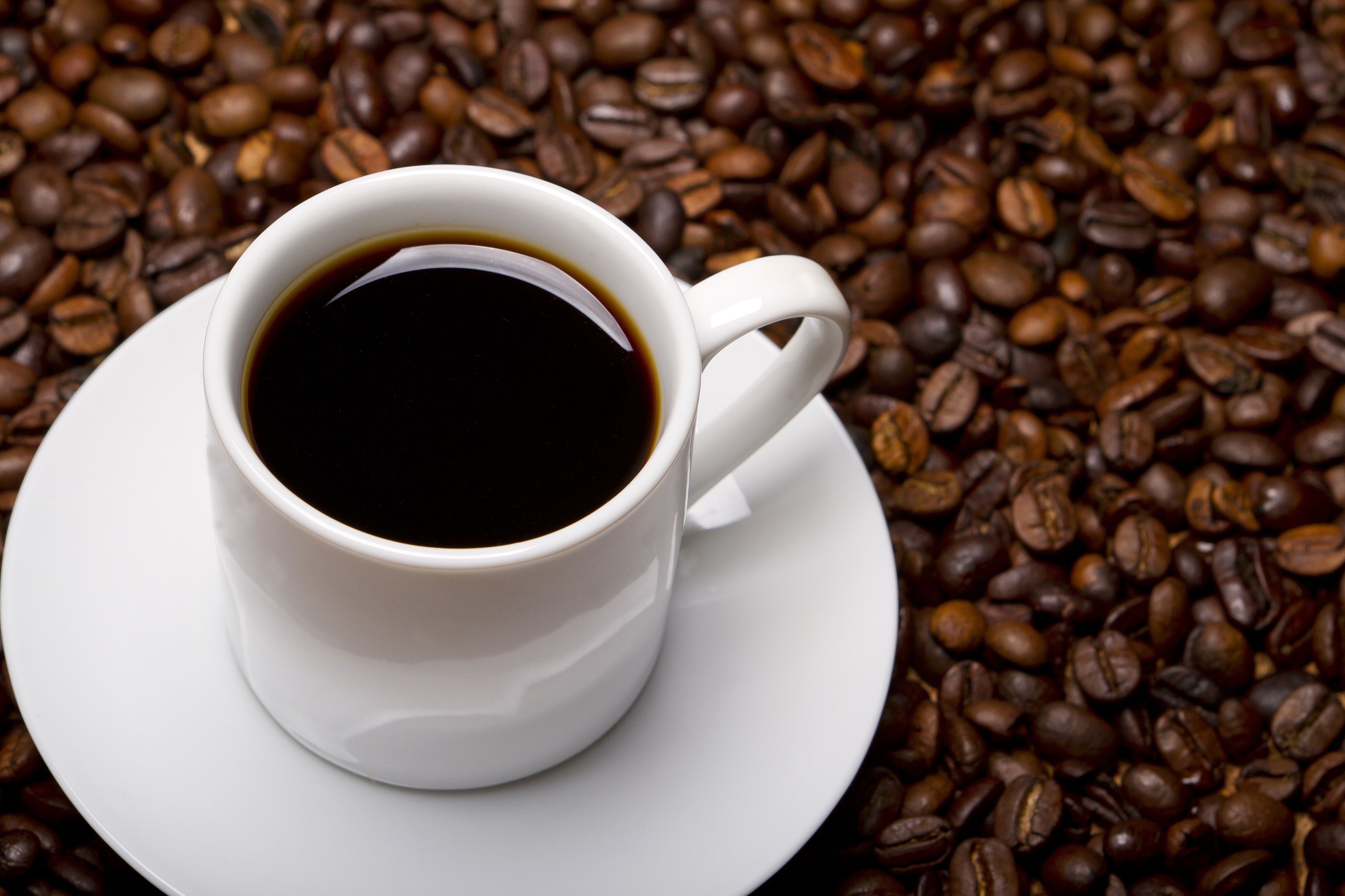 História do café no Brasil: conheça tudo por trás dessa produção!