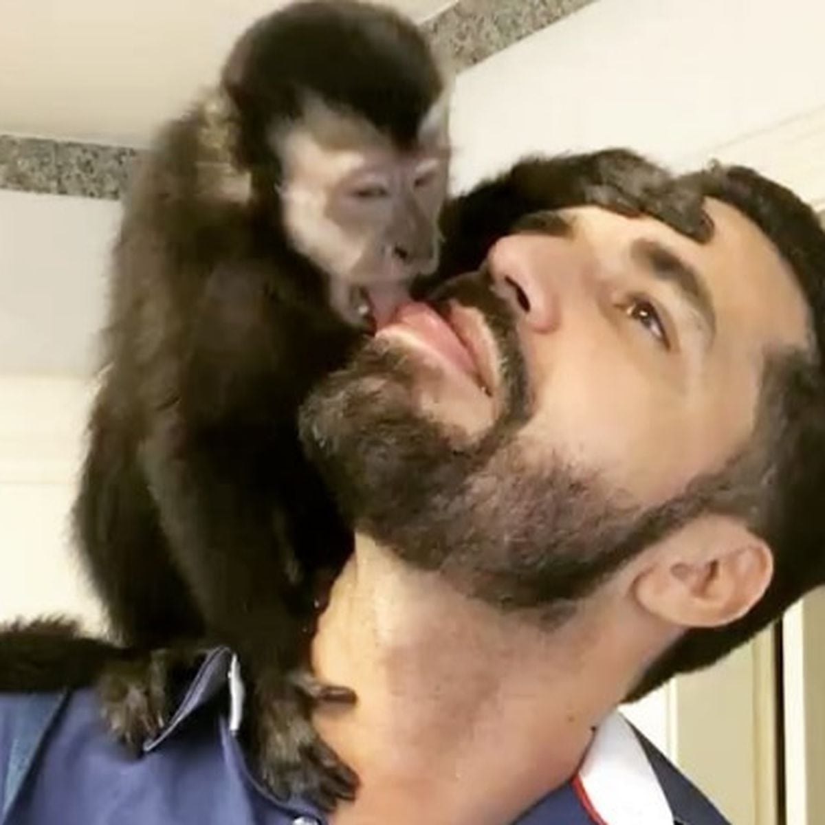 Latino e esposa levam macaco para aniversário do filho de amigos, Divirta-se mais