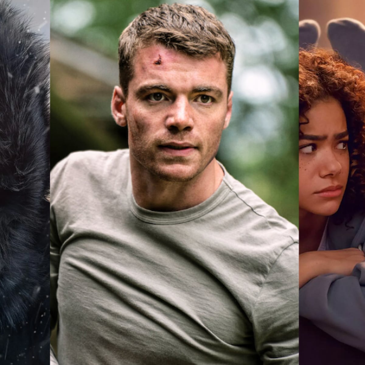 Netflix divulga dados inéditos de filmes e séries mais assistidas