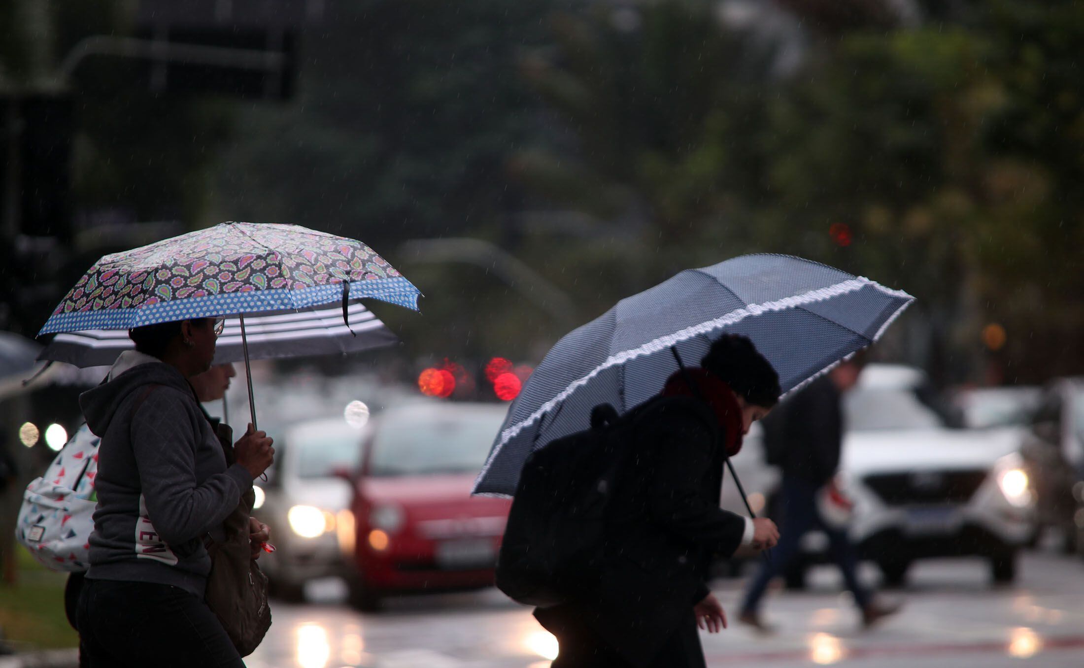 Fim de semana com temperaturas amenas, chuva persistente e ventos em áreas  do estado de São Paulo - Clima ao Vivo