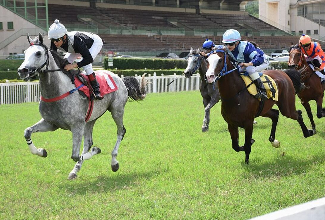 Saiba mais sobre turfe, a corrida de cavalos