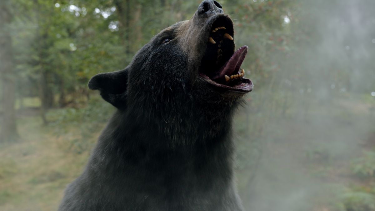 HZ  Urso consome droga e vira assassino em filme que mistura