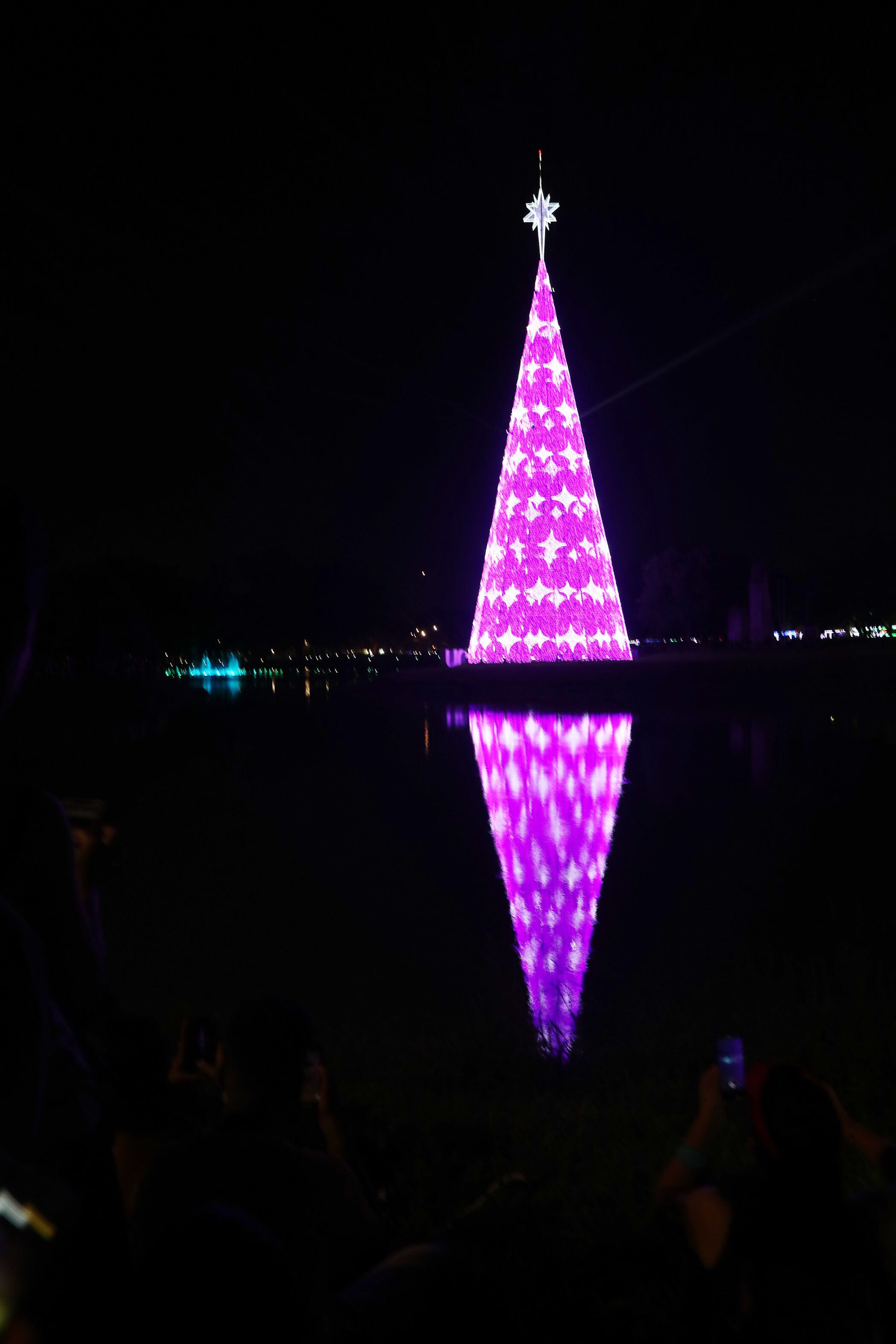 Com 57 metros, árvore de Natal do Ibirapuera é inaugurada e é a maior da  cidade de SP; entrada é gratuita, Guia SP