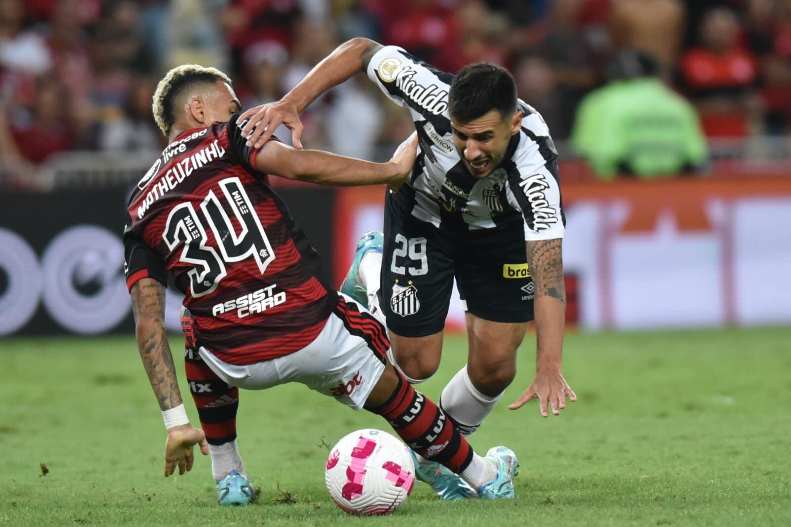 Flamengo x Santos: Árbitro explica expulsões e relata ofensa