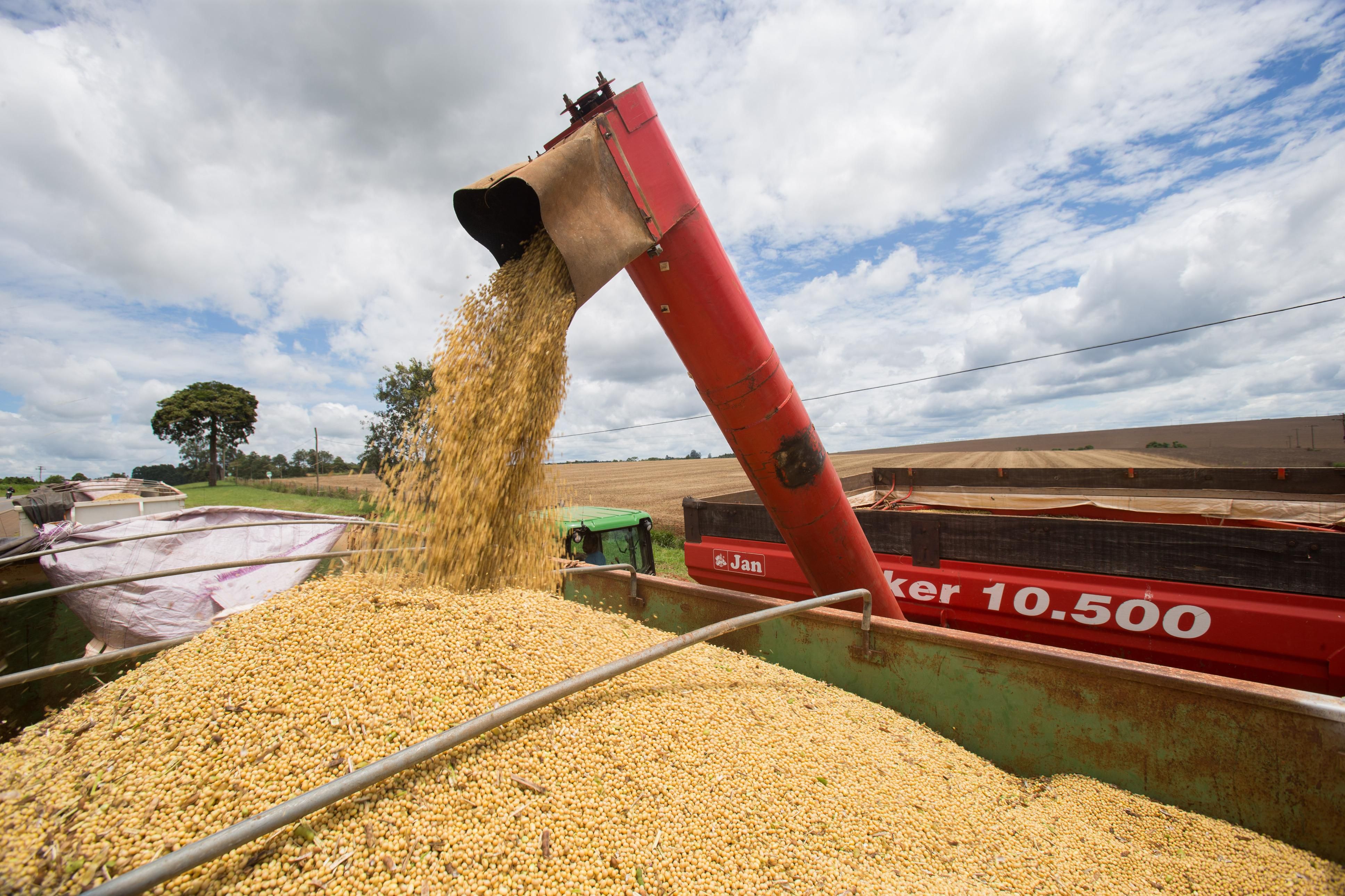 Clube Agro Brasil fecha o primeiro semestre de 2022 com um crescimento de  110% em acúmulo de pontos