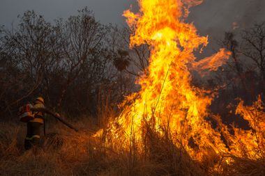 Combate a incêndio no Capão da Água Limpa durou 5 horas; aproximadamente 7  hectares foram consumidos pelo fogo